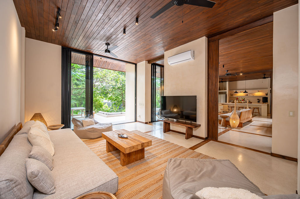 The lounge sofa and television