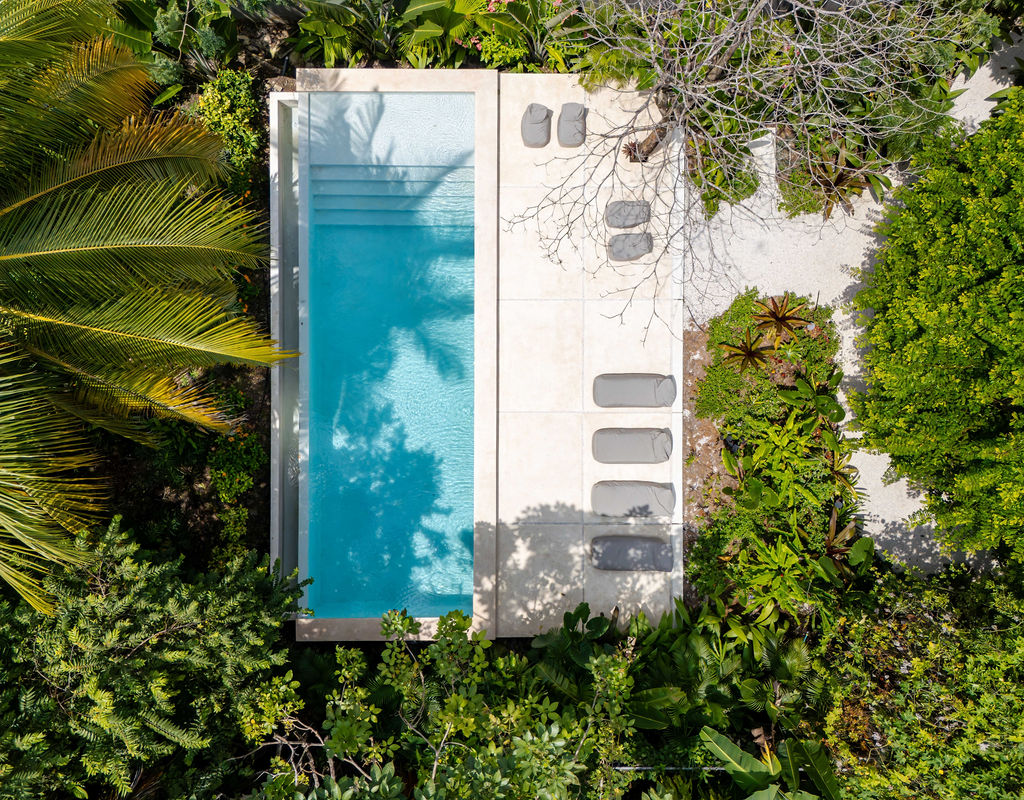 Top-down aerial of the pool and palm shadows
